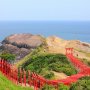 クレジットカード現金化山口県業者の換金率口コミを調査